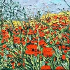 COQUELICOTS 3 - 20x20 - (2023) - (non disponible)