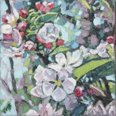 BRANCHE DE POMMIER - 20x20 - (2023) - Non disponible