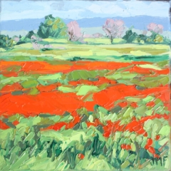 COQUELICOTS - 20x20 - (2023) - Non disponible