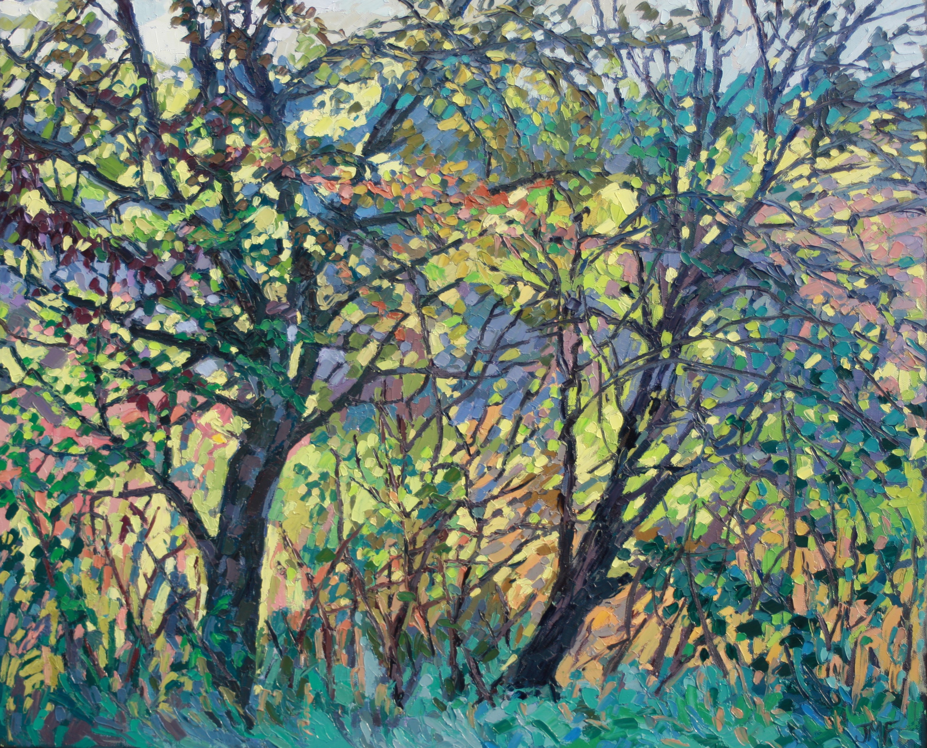 CONTRE-JOUR - 50X61 - 2023