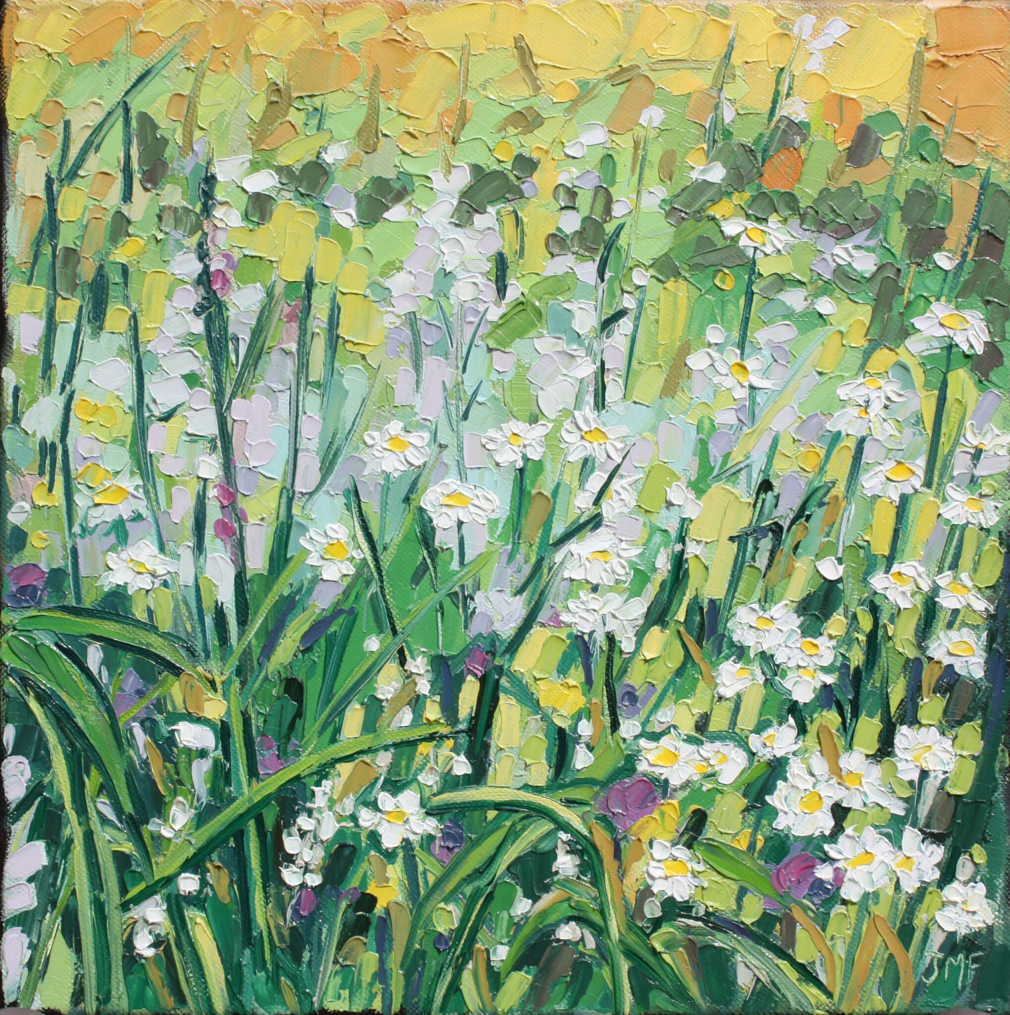 FLEURS DES CHAMPS - 30X30 - (2023)