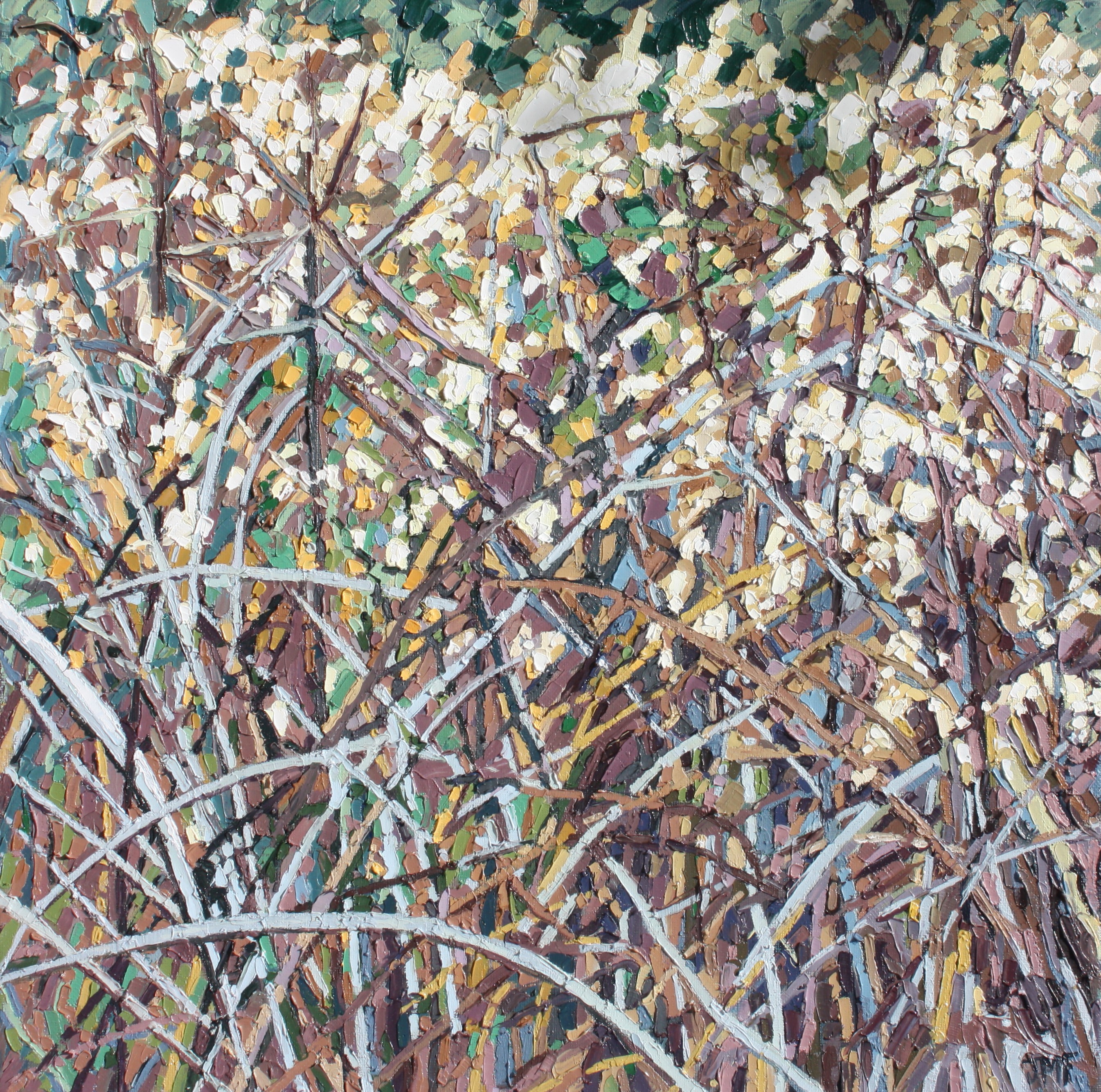 HERBES SECHES - 39X39 - 2023