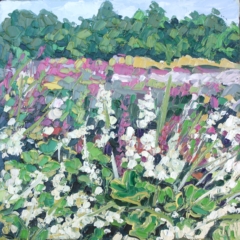 FLEURS DES CHAMPS - 20x20 - (2023)