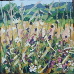 FLEURS DES CHAMPS 2 - 20x20 - (2023) - (non disponible)