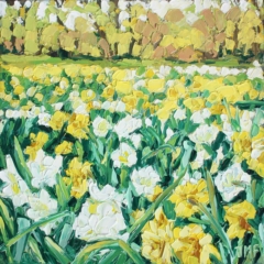 LES NARCISSES - 20x20 - (2023) - Non disponible