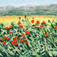 COQUELICOTS 2 - 20x20 - (2023) - (non disponible)