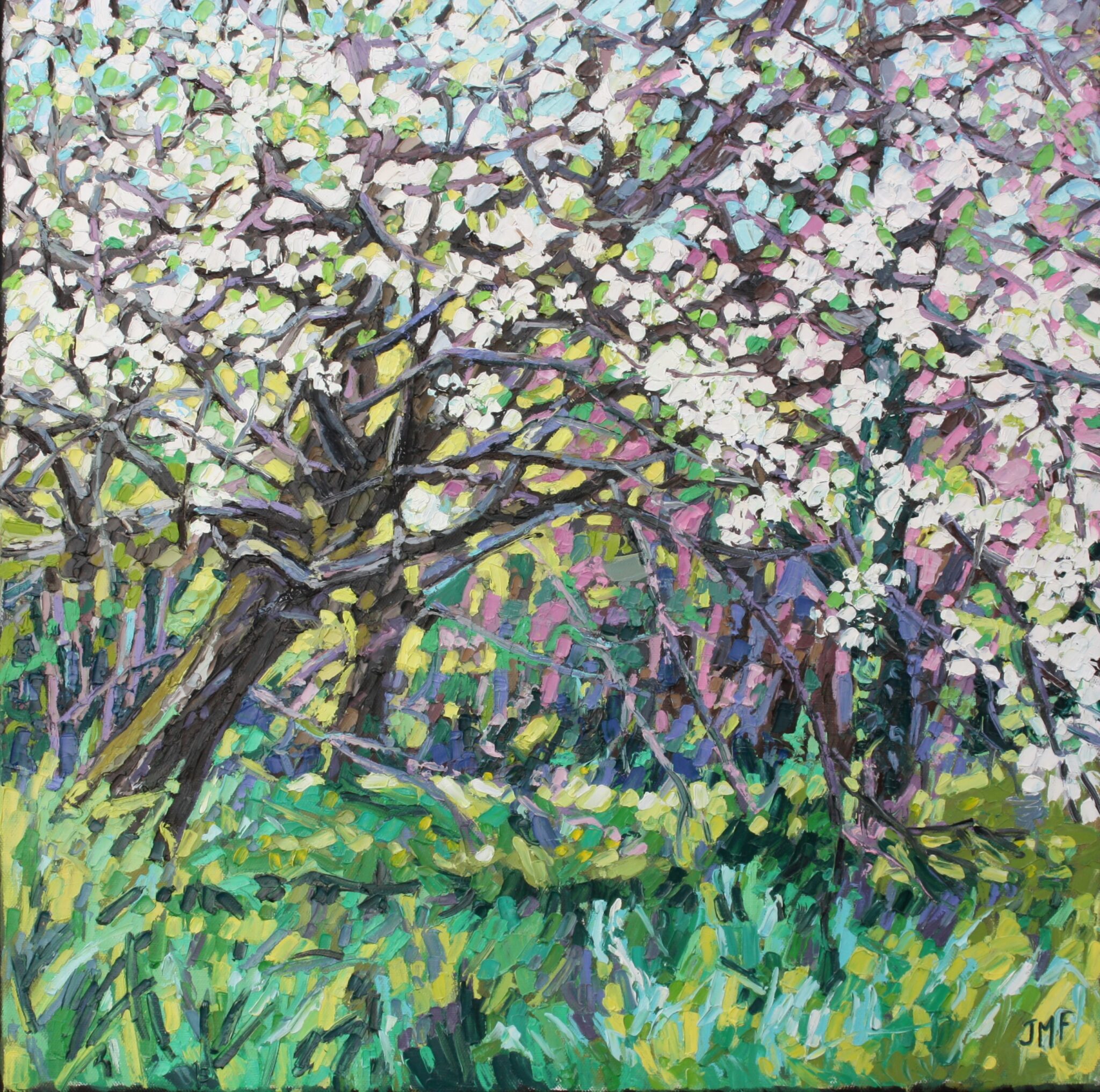 LE POMMIER DE COLETTE - 50X50 - 2023 (non disponible)