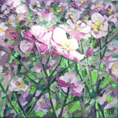 LES HELLÉBORES - 20x20 - (2023) - (non disponible)