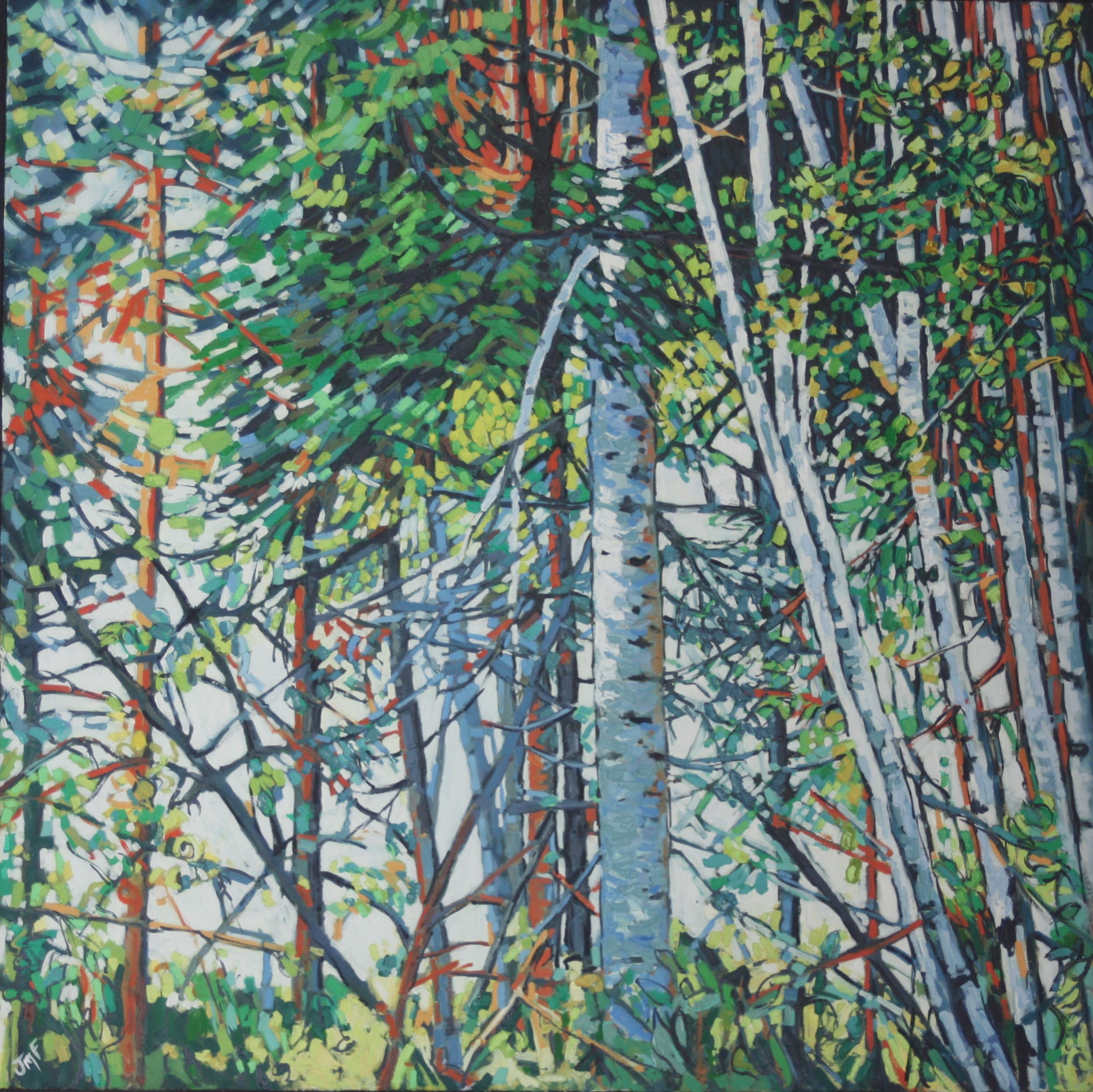 LES BOULEAUX - huile sur panneau d'isorel enduit - 75X75 - (2022)