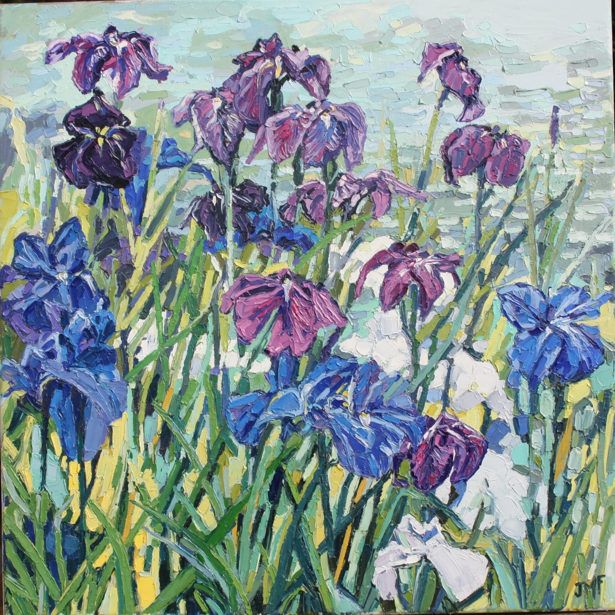 LES IRIS D'EAU - 50X50 - (2023) - indisponible