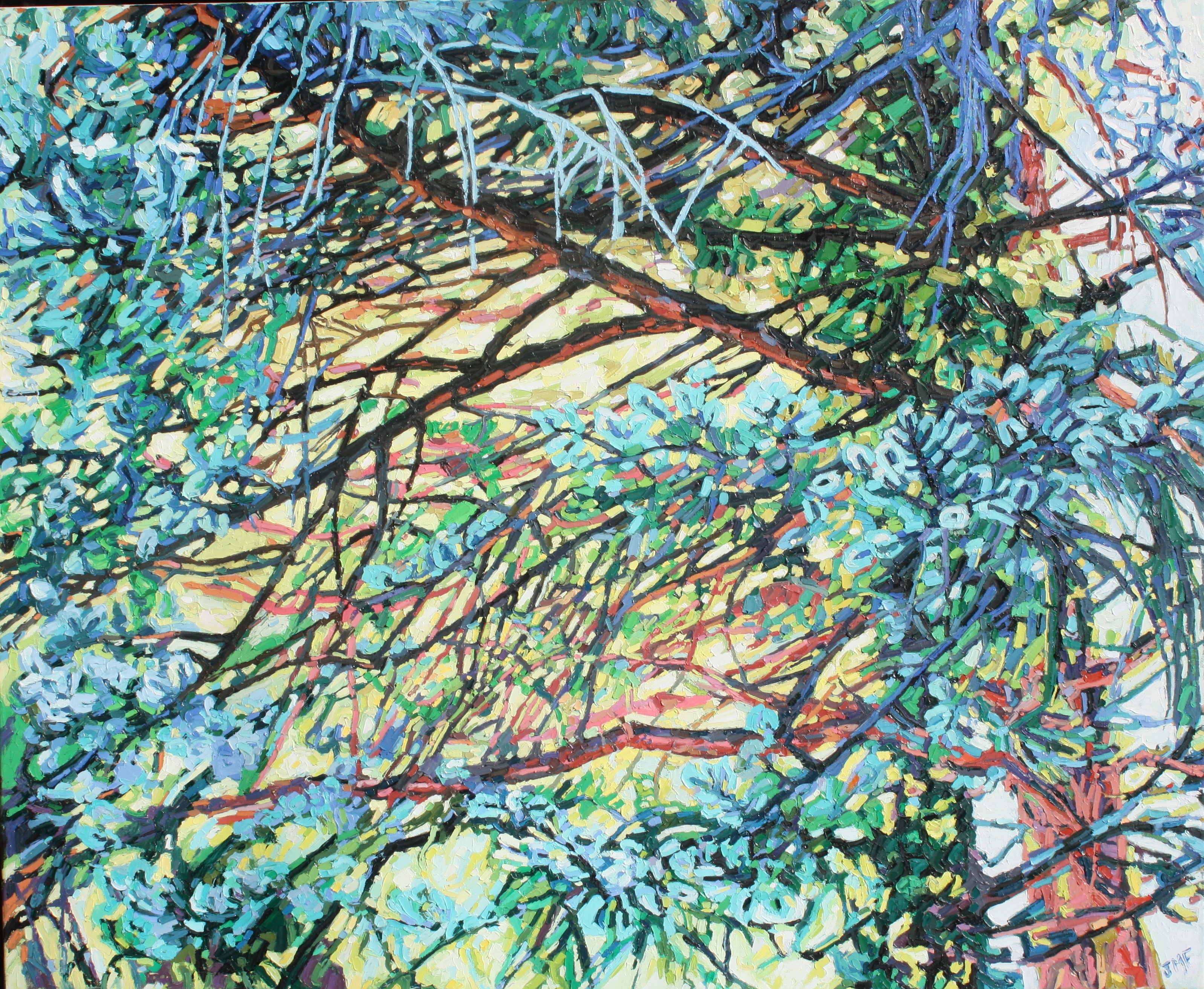 SOLEIL A TRAVERS LES BRANCHES - 90x110 -2023