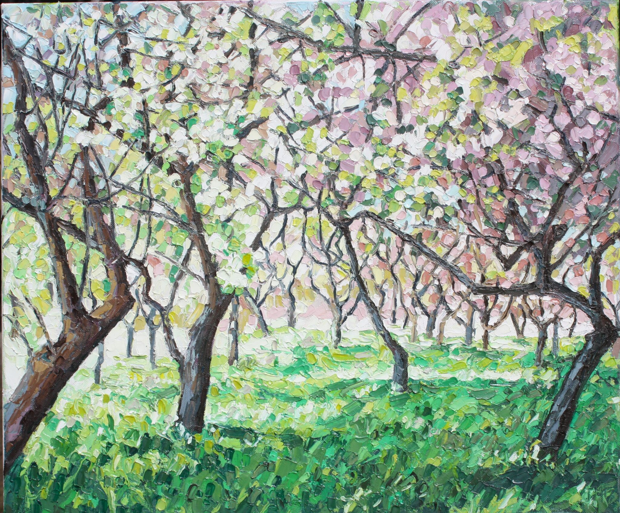 VERGER - 46X55 - (2023) - (non disponible)