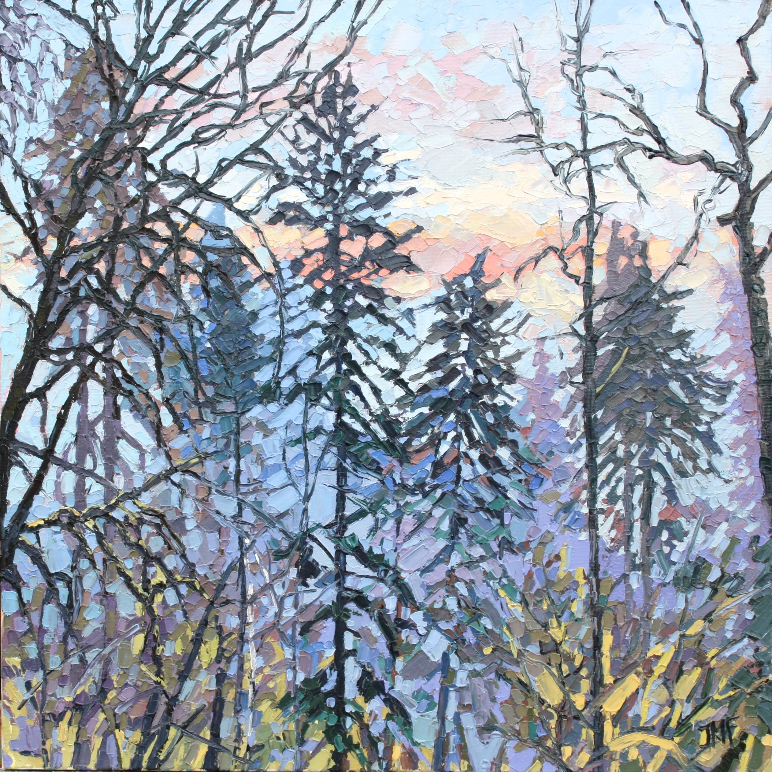 BRUME MATINALE - 50X50 - (2024) - Non disponible