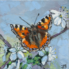 L'EFFET PAPILLON II - 20X20 - 2024