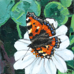 L'EFFET PAPILLON III - 20X20 - 2024