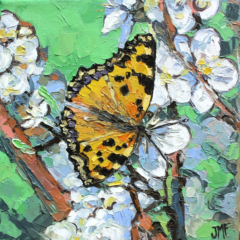 L'EFFET PAPILLON I - 20X20 - 2024