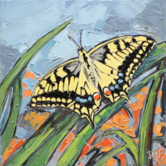 L'EFFET PAPILLON IV - 20X20 - 2024