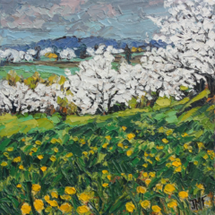 VERGER DU SUD - 20 X 20 - (2024) (non disponible)