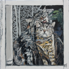 DERRIERE LA FENETRE - 20 X 20 - (2024) - non disponible