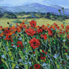BLE ET COQUELICOTS - 20X20 - (2025) (non disponible)