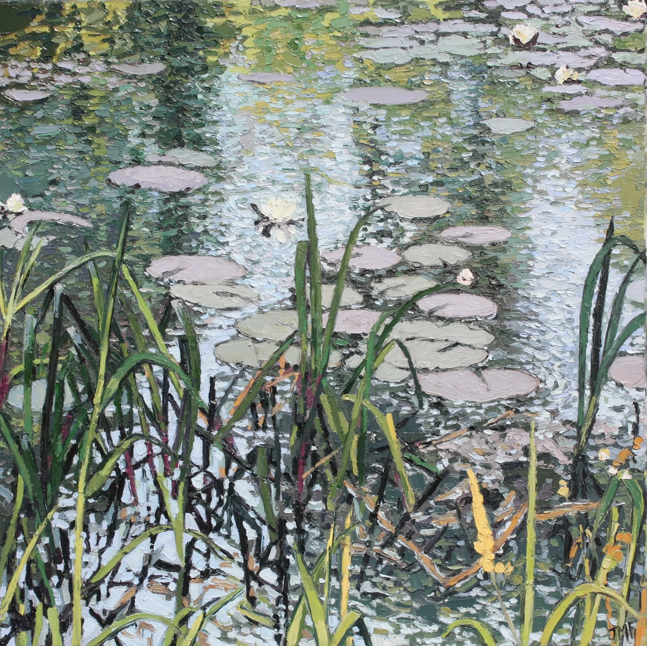 LE BASSIN DE STEPHANE II - 50X50 - (2025) - Non disponible