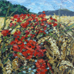 LES COQUELICOTS IV - 20X20 - (2025)