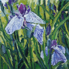 LES IRIS II - 20X20 - (2025)