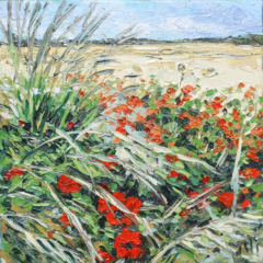 COQUELICOTS V - 20X20 - 2025
