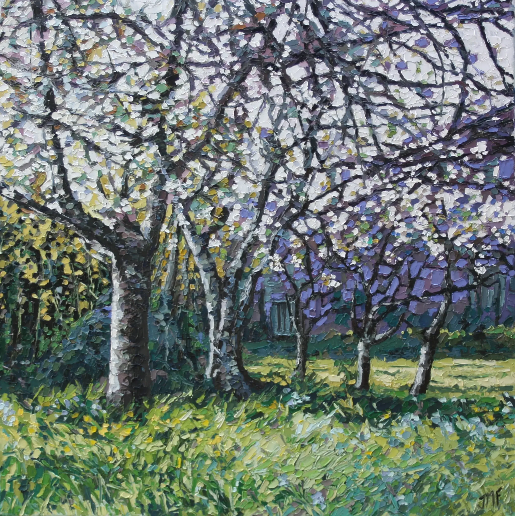 LES VIVACES - 50X50 - 2025