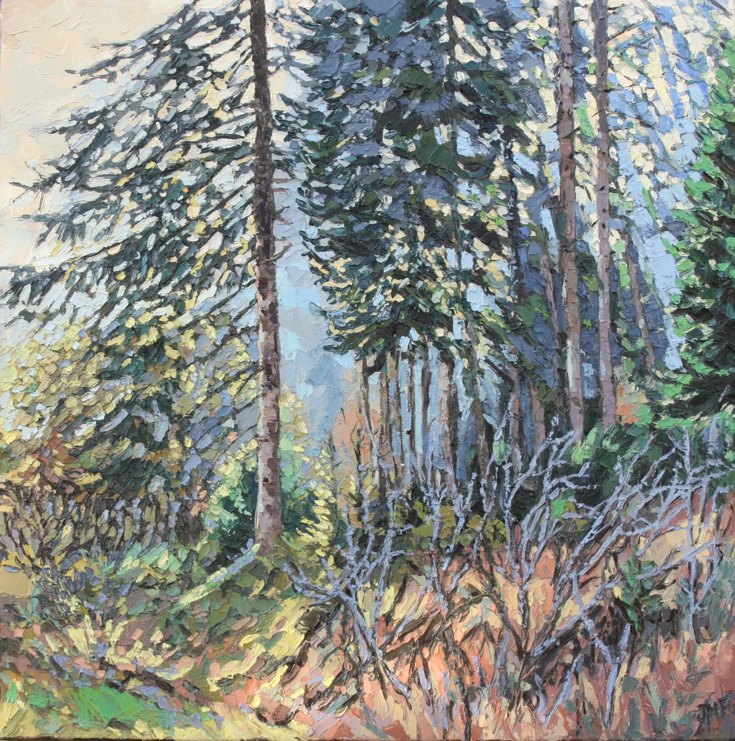 L'ORÉE DU BOIS - 50X50 - 2025