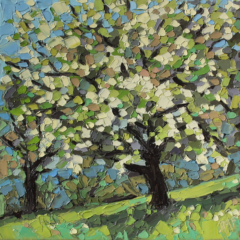 CA BOURGEONNE - 20X20 - 2025