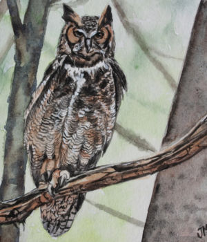 LE GRAND DUC - 15X15 - 2025