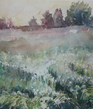 LES PISSENLITS - 15X15 - 2025 - non disponible