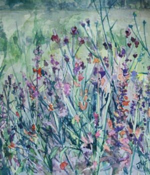 Fleurs des champs - 20X20 - 2025