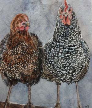 Poule et coq - 24X29 - 2025