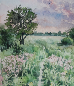 Soleil Couchant - 15X20 - 2025